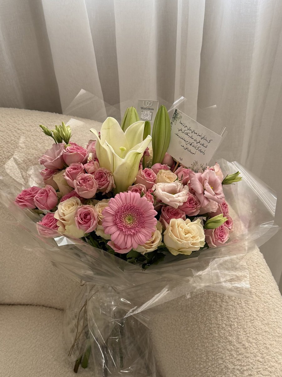 llliu2__'s tweet image. 2025 بأربع صور  
Quote tweet