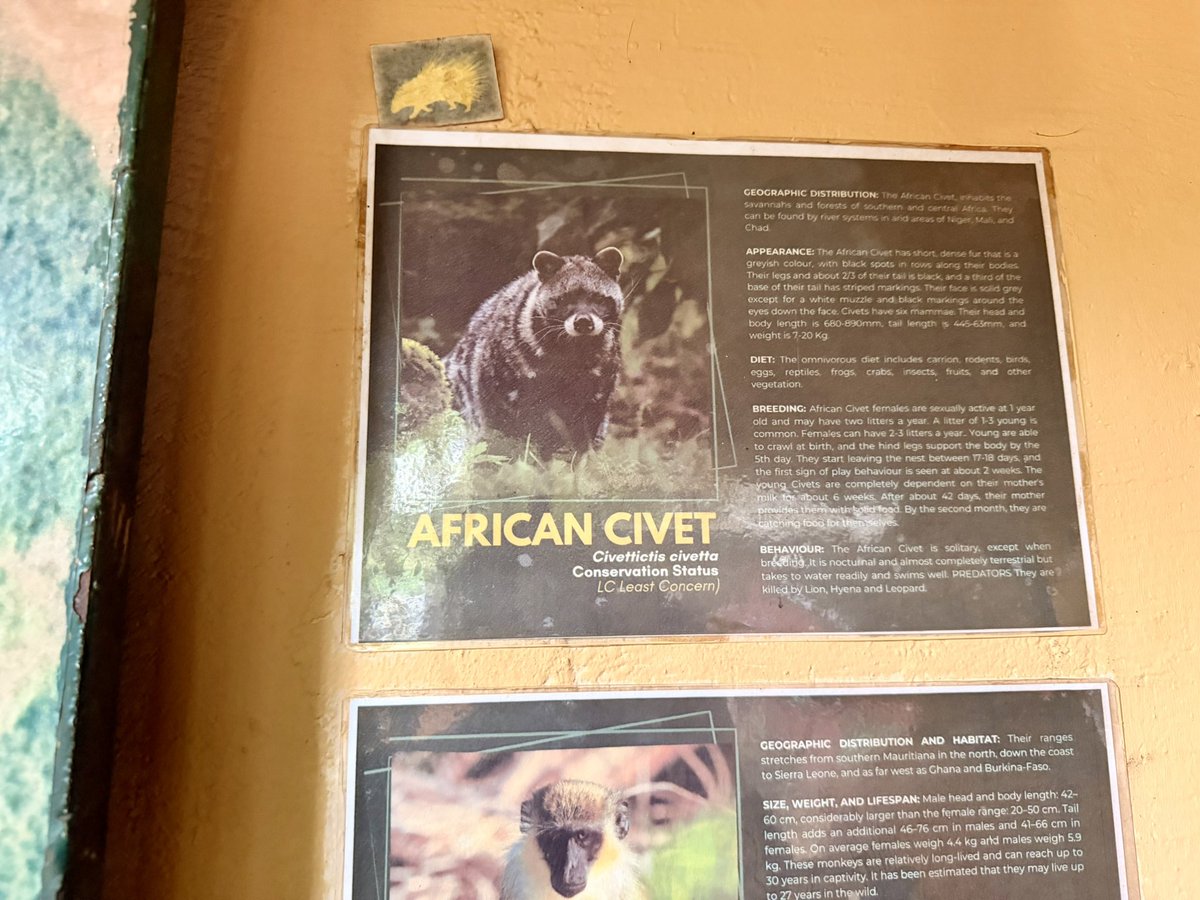 A 1.5km forest trail through Congo Dam’s catchment, ending at the waterfalls. Fresh air, quiet paths, and good energy 🌿💧

<a href="/Tacugama/">Tacugama</a>