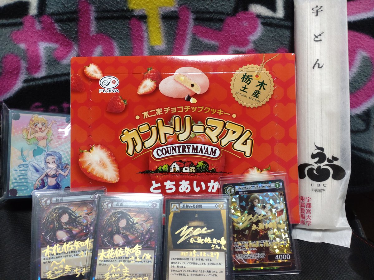 イジンデン　引退 イジンデン