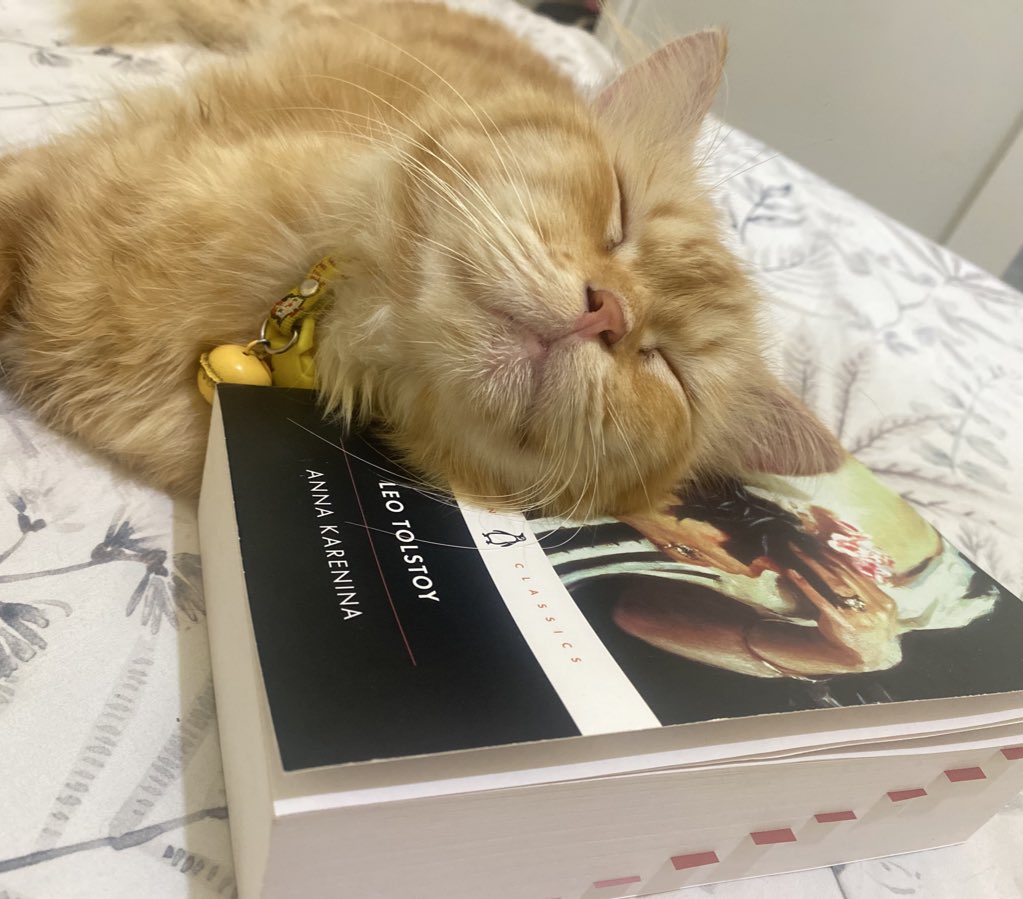 readwithgita's tweet image. I AM ready 😼🤓