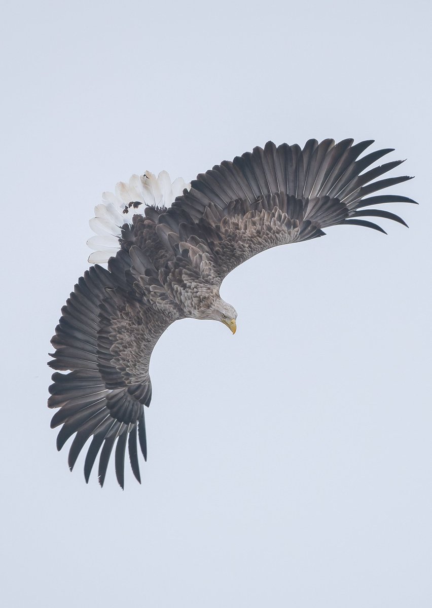 MOR🐈 (@MeowOnRoad) / Posts / X