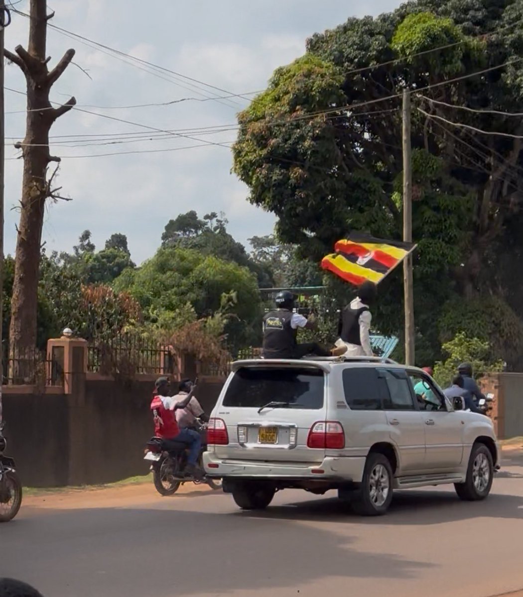 CarolPrim3's tweet image. Guys, I know it's none of your business, but guess who I saw today in our village? 🥹