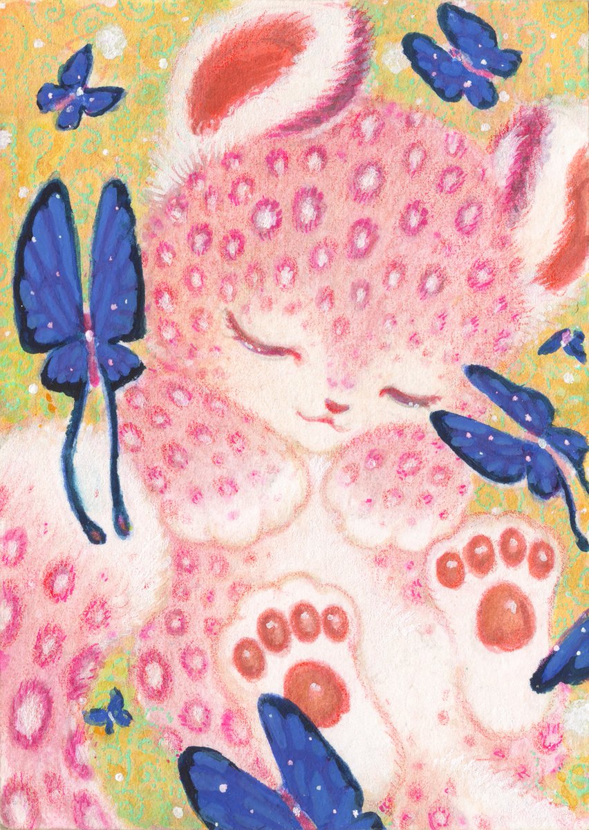 Yui_mera's tweet image. (ᐢᴖ ·̫ ᴖᐢ)╭❀❀❀