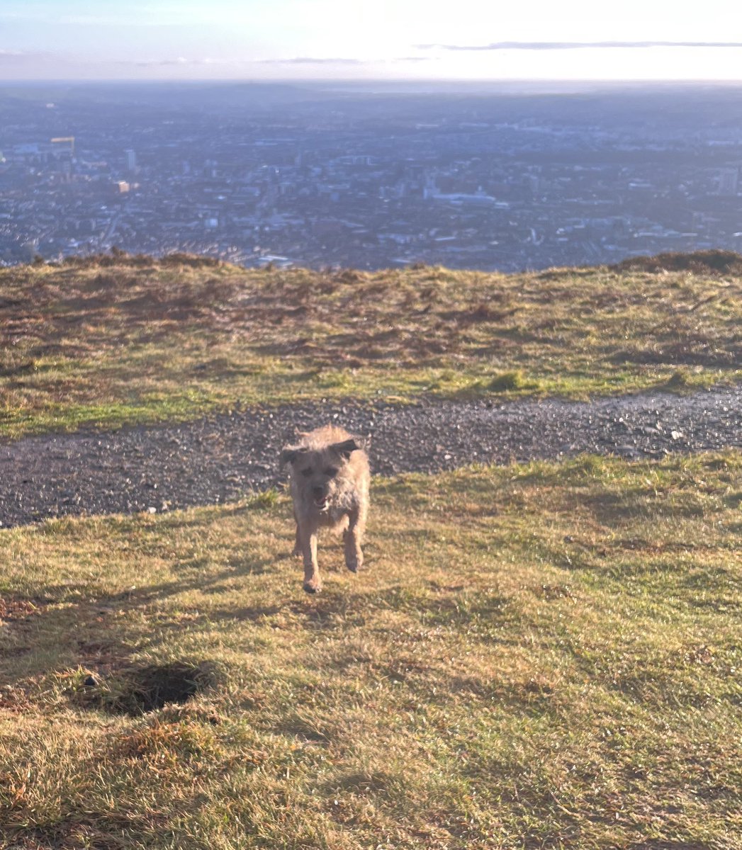 Adrian Boyd tweet media