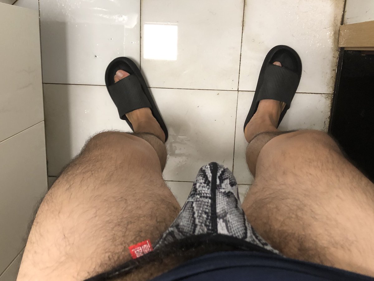 大虎禾武 tweet media