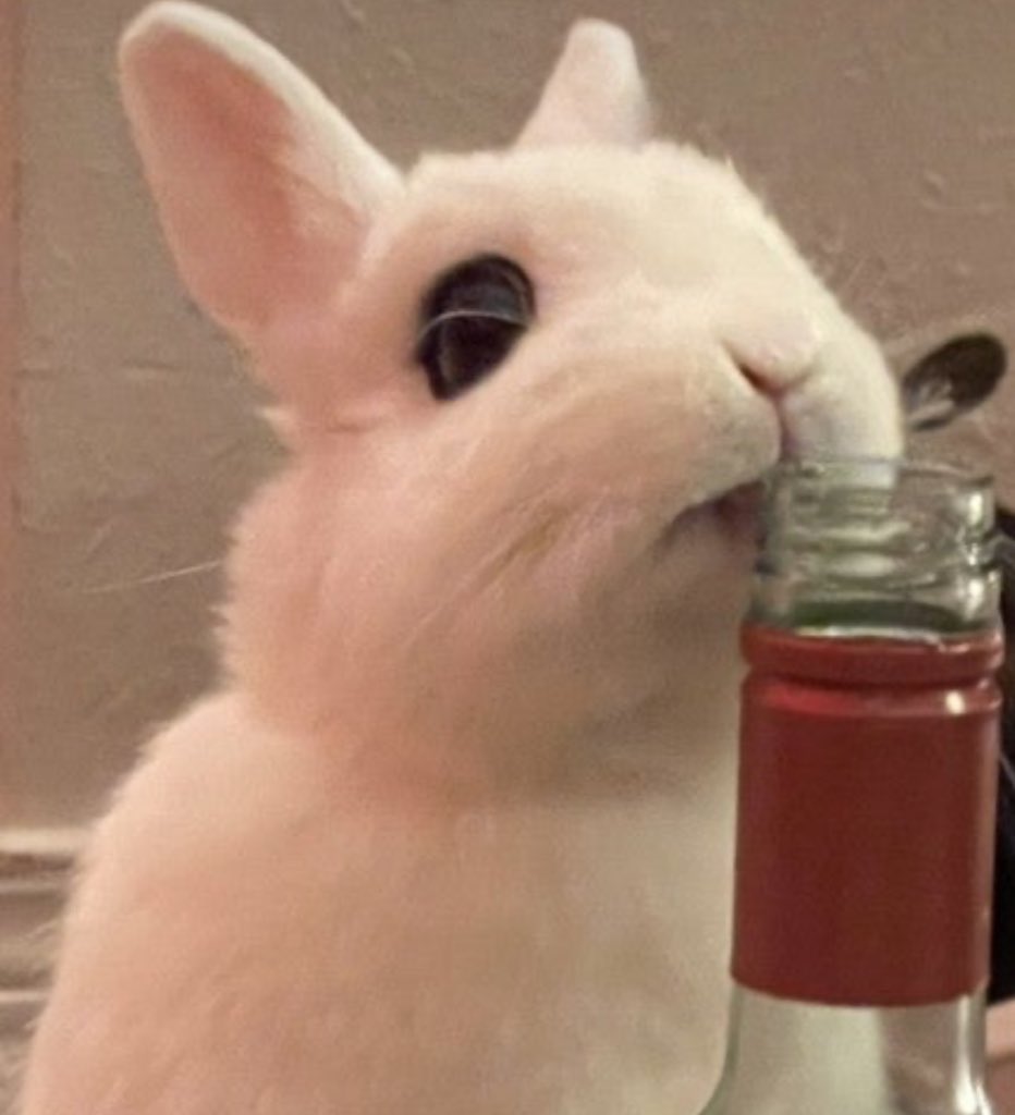 mini__ll's tweet image. 🐾술톢