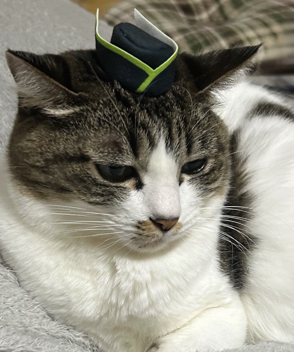 ひぃまろ (@himaro1111) / Posts / X