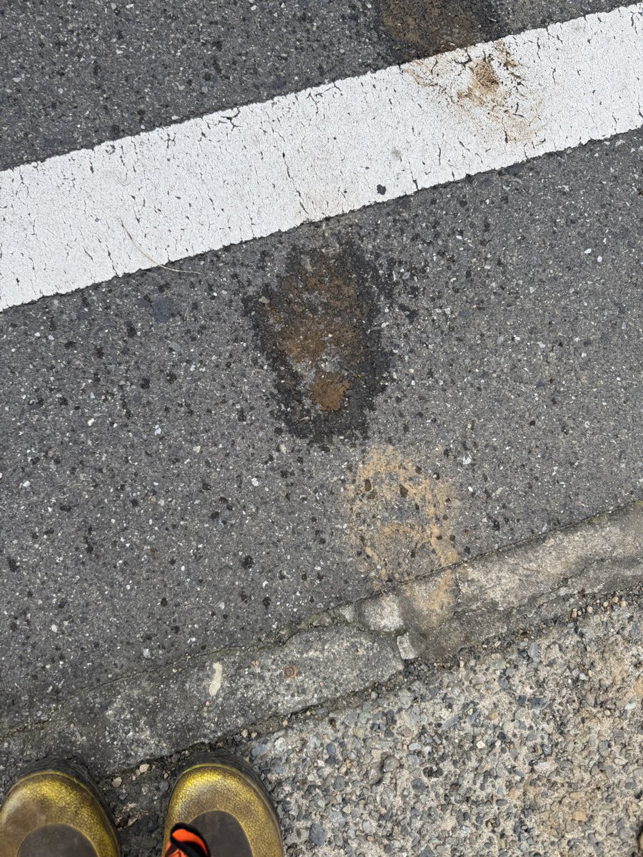 ２週間ぶりに明日は山に行く…めちゃくちゃ寒いんだろうけど、どれくらい寒いかも楽しみになってる🥳バカなんだな。今年最後の大物猟楽しんでこよう！熊は居ません様に🧸