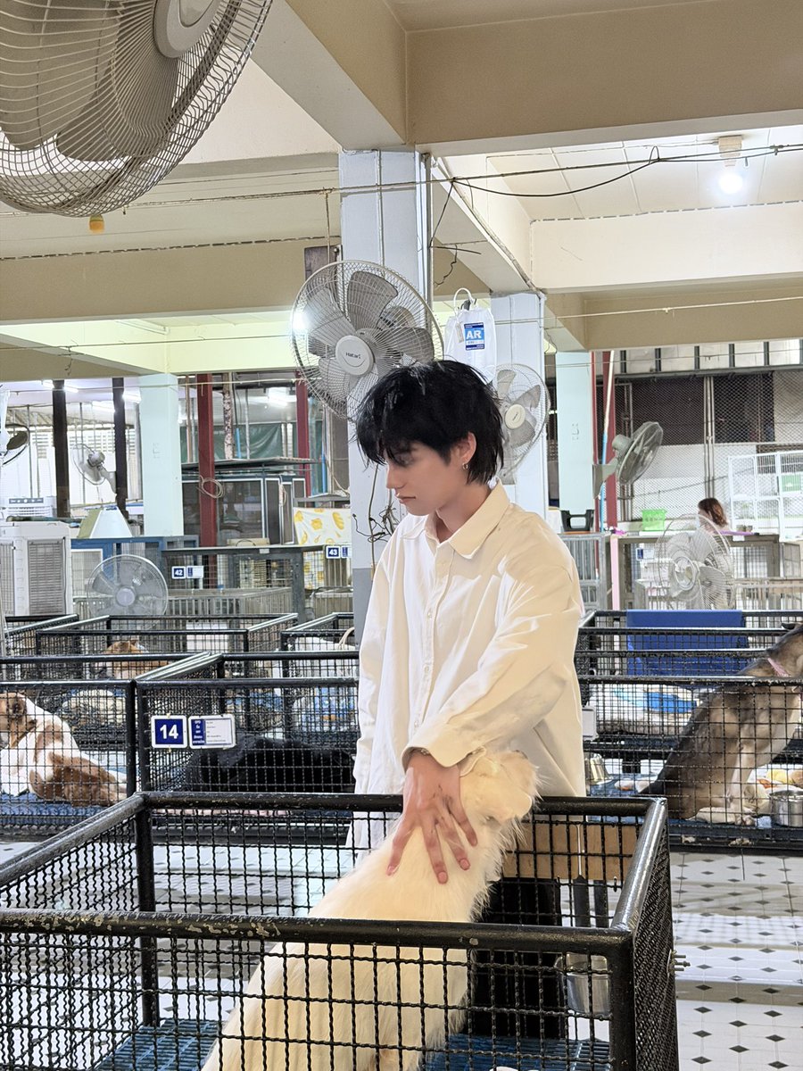 🎐 𝘅𝘅𝗽𝗽𝘂𝗻𝘅𝘅 ⌯･֊･⌯ಣ 🎐 tweet media