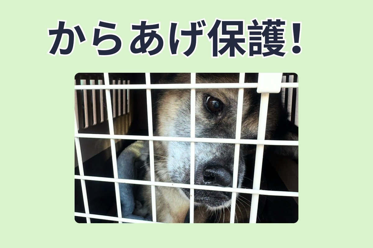 認定NPO法人 しあわせの種たち (@shiawasenotanet) / Posts / X