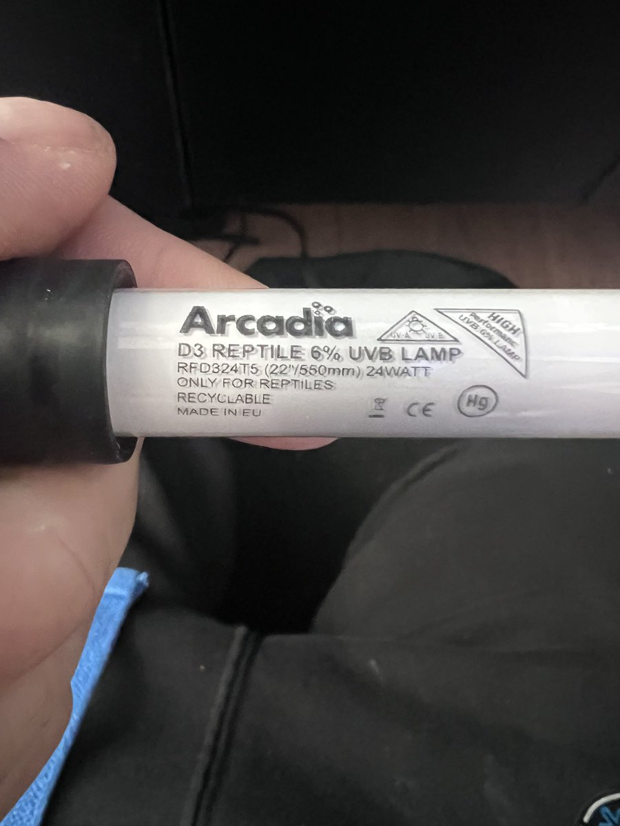 dazlancs's tweet photo. Hey @ArcRepOfficial, a LumenIZE Pro T5 UVB 24w kit bought on 20th Sept 2025 shouldn’t need a new bulb already should it? It’s been running 12 hours a day and this morning it looks like this. Is this a normal lifespan? https://t.co/tK85U1efov
