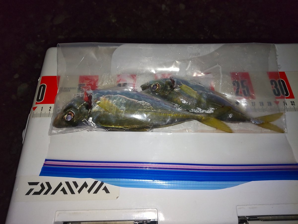 hanimal46's tweet image. 轟沈😒

撤収ー！

#南方作戦
#お二人様