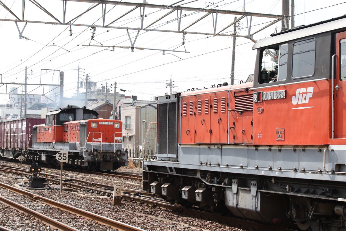 ヨダレが(´﹃｀)撮りたい