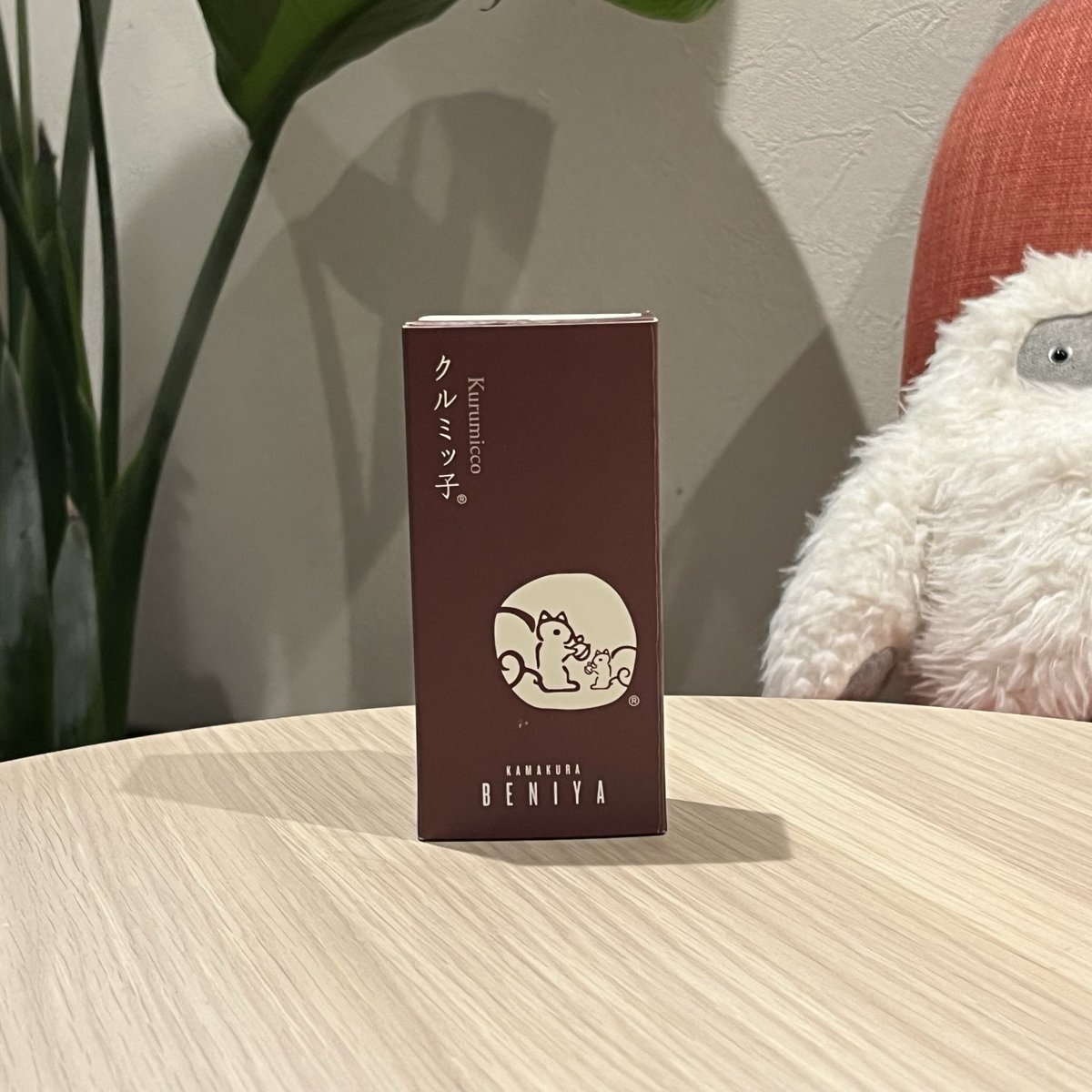 ご贔屓様に「くるみっ子」を
いただきました🐿️✨
こんなん貰ったら疲れなんて
吹き飛びます🙌