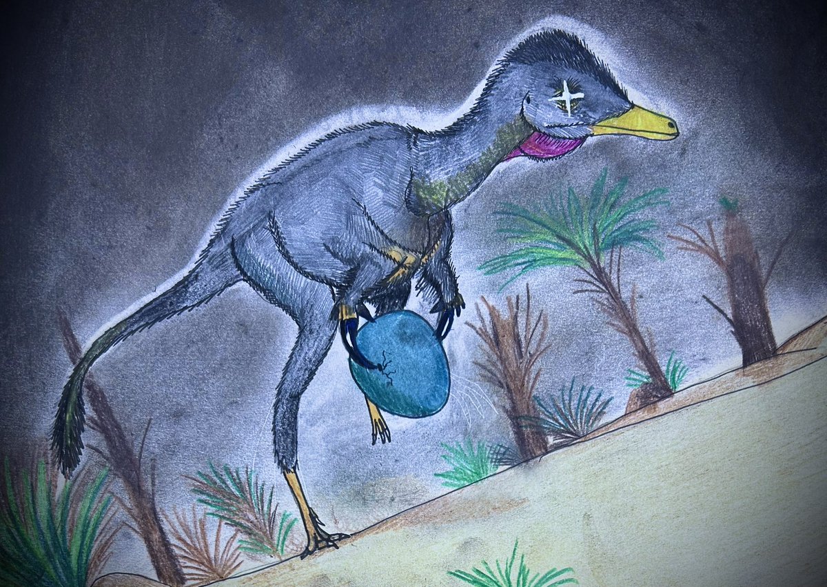 Bull.Falcon (@FalconBull) / Posts / X