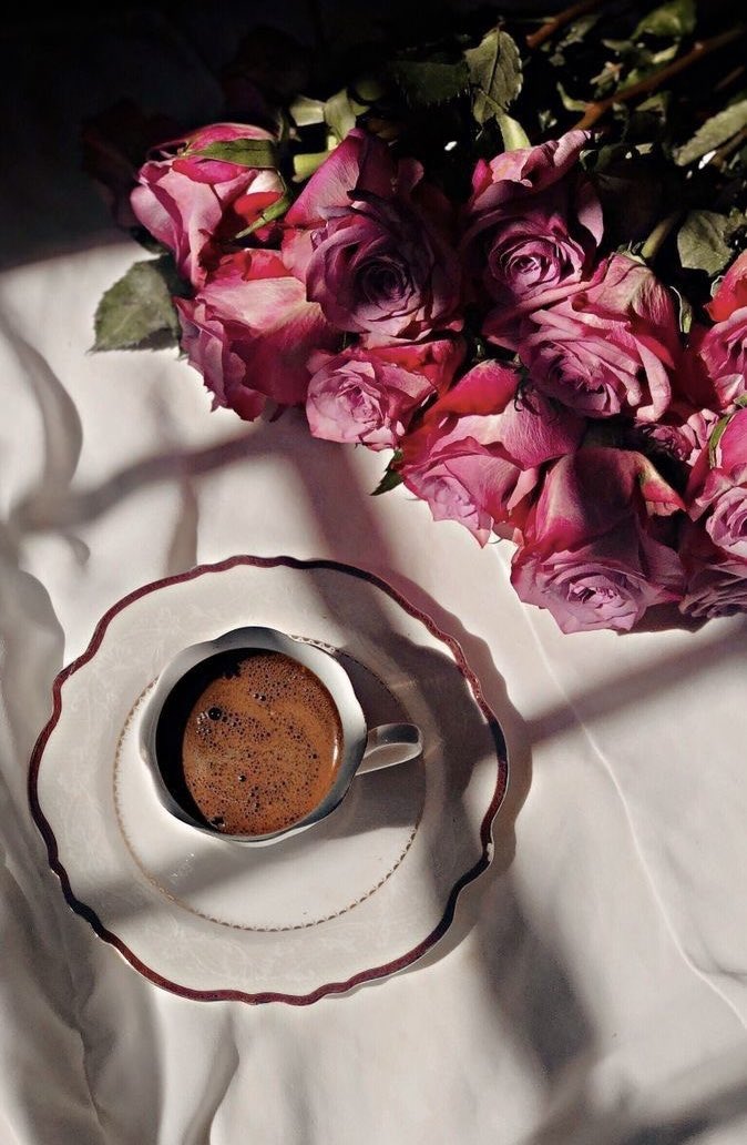 ٠
٠
الورد يُجيد لغة الجمال والقهوة 
  تُجيد لغة الروح ☕️🌹
٠
٠
#مساء_الخير