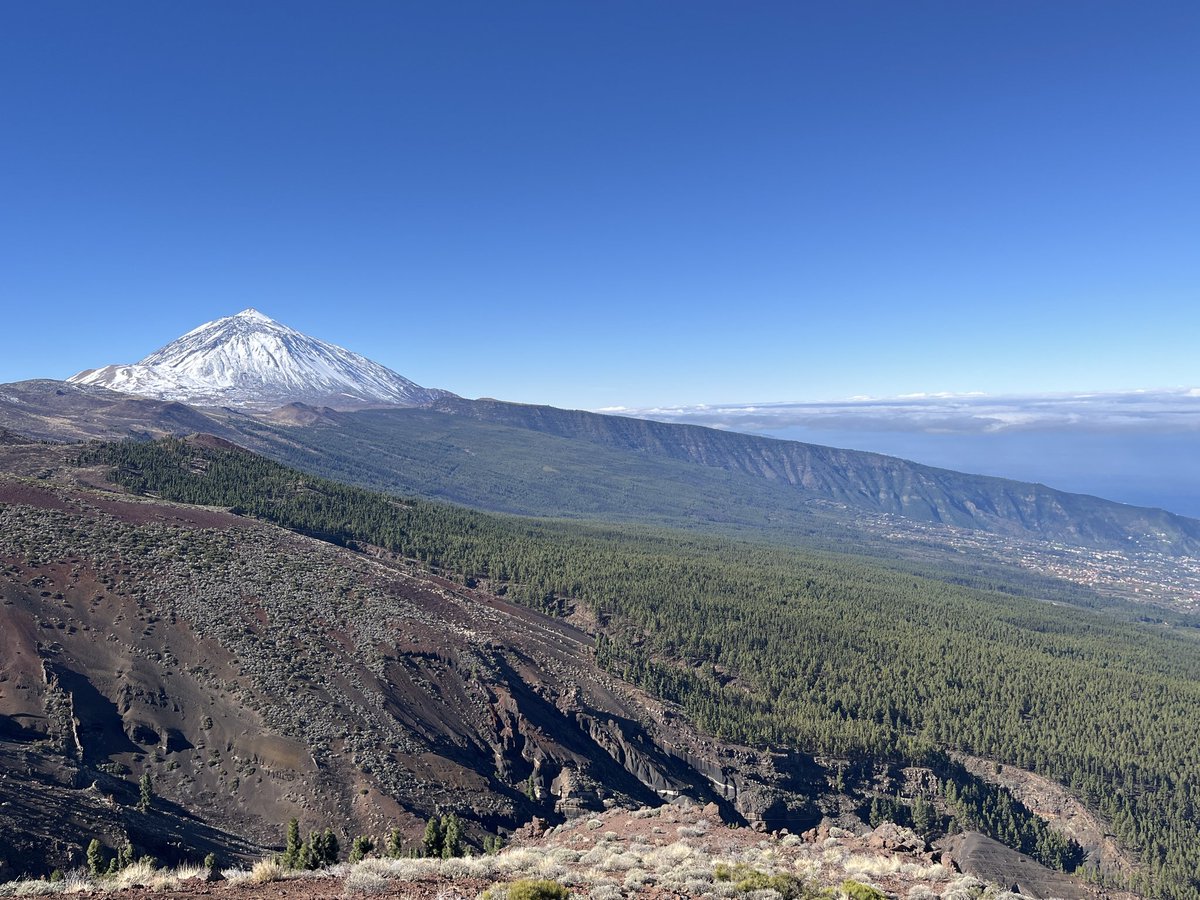 FenixCanarias's tweet photo. Y otra desde el mirador de la tarta. Muchas gracias a quienes están enviando imágenes estos días!!
Además del seguimiento del incendio hemos encontrado otro uso de los tótems para hacer seguimiento del paisaje. https://t.co/SqWLOcZ6mv