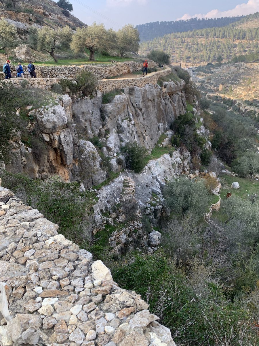 JaapHamburger tweet media