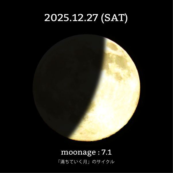 今日の月齢は7.1。明日は #上弦の月 。 2025年最後の新月から、新年初