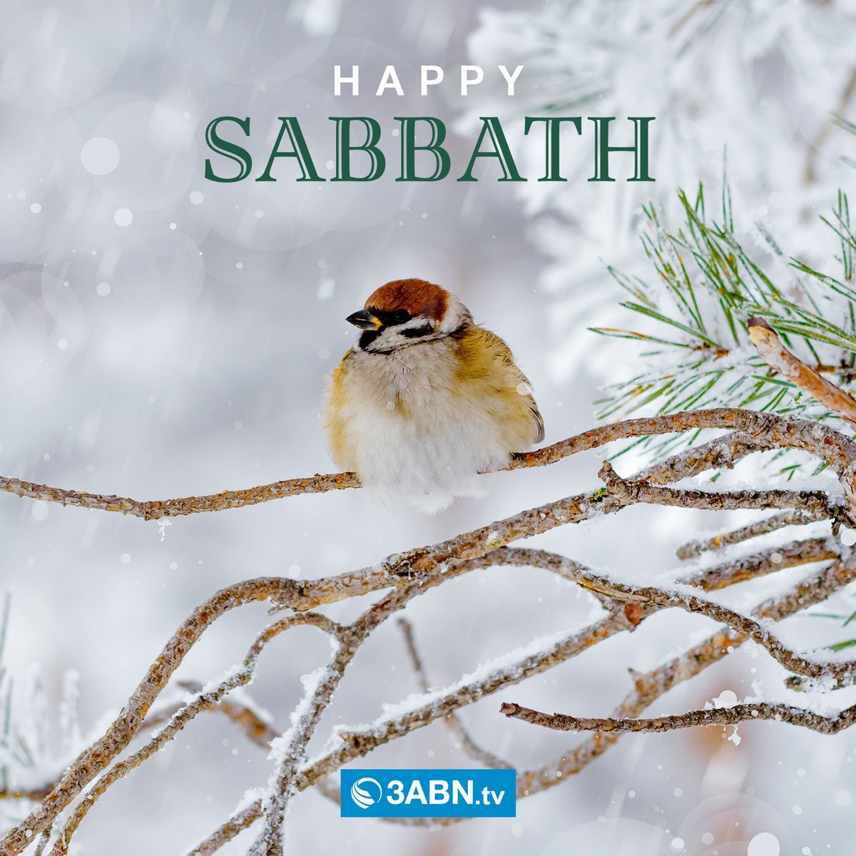 3abn's tweet photo. https://t.co/HiWEmP0sWC