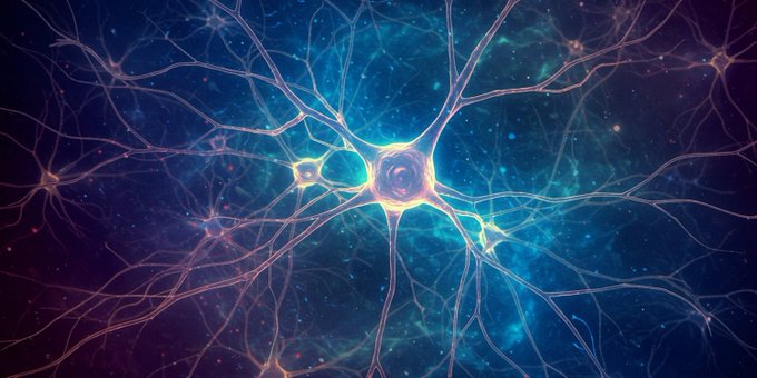 OwenGregorian's tweet image. Scientists achieve full neurological recovery from Alzheimer's in mice by restoring metabolic balance | Karina Petrova, PsyPost

Researchers have discovered that Alzheimer’s disease may be reversible in animal models through a treatment that restores the brain’s metabolic…