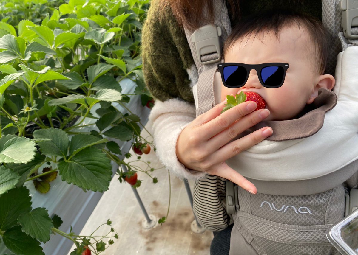 のりたまりんご tweet media