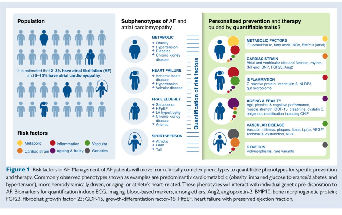 Europace Editor-in-Chief tweet media