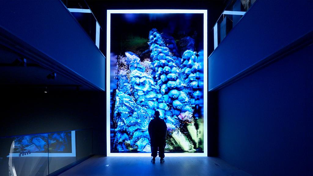 dz0920's tweet photo. Shanghai hosts the 2025 Cultural IP + Tech Conference, exploring how creativity and tech intersect for global impact. 🎨🧠 #CulturalIP #TechFusion #Shanghai https://t.co/ku41yo42lm