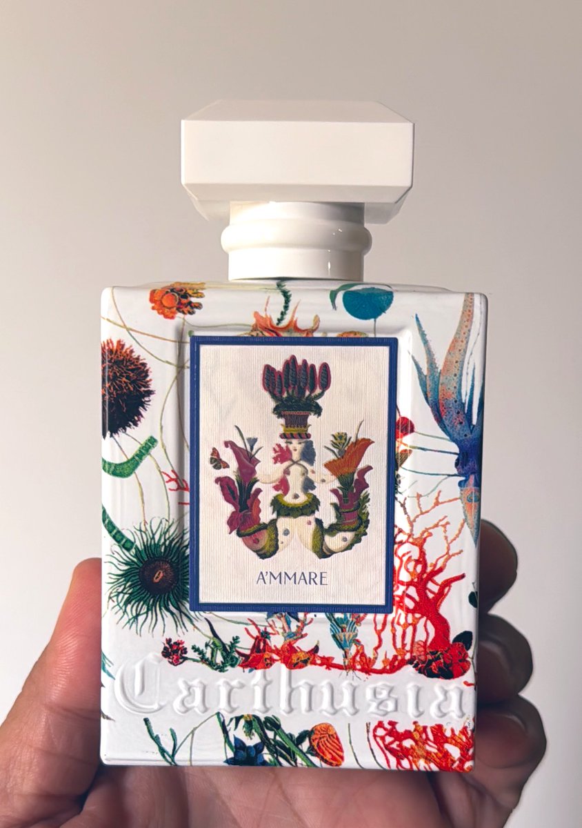 A'mmare-Carthusia

2021

أتوقع مافي كثير يعرف هالعطر .. غير مكرر 

عطر بحري أنيق بس مو حاد، فيه انتعاش البحر مع لمسة سويتية ناعمة تخليه مريح وقريب للنفس 

الأعشاب  واضحة بالبداية وبعدها يطلع خشب ناعم مع إحساس نظيف ومتوازن.
سهل، رايق، ويناسب كل وقت. 

ومن العطور اللي ترجع لها بدون