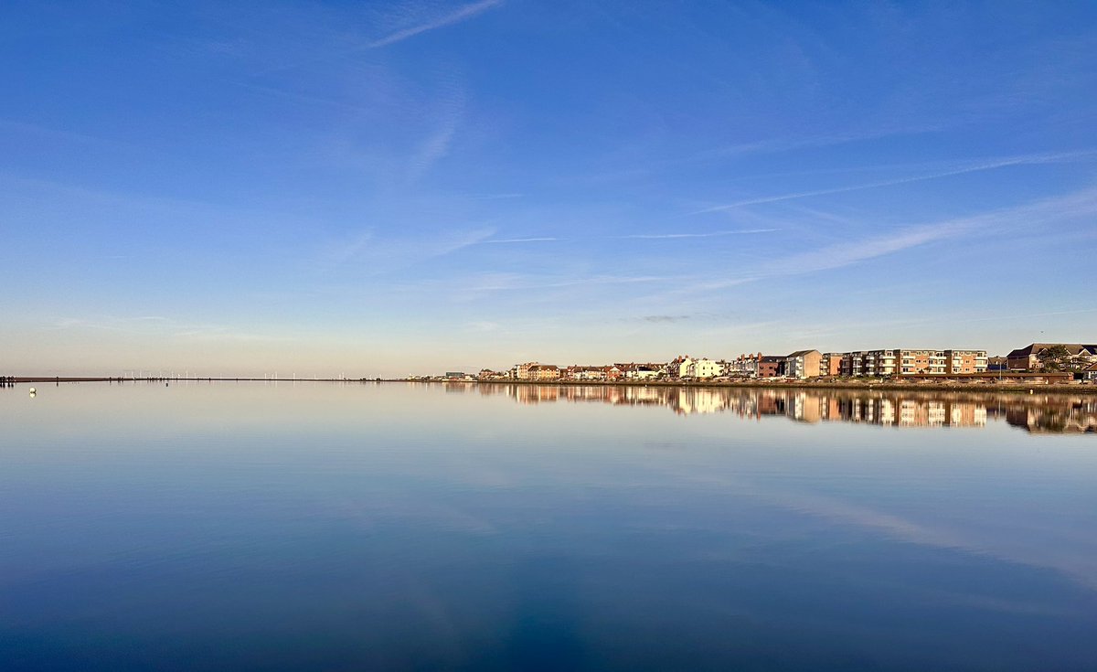 SteveOnHilbre's tweet photo. West Kirby looking stunning this morning after overnight frost, hardly any wind and blue skies โ๏ธ 3 Goldeneye (2 drakes), at least 12 Goosander and 5 tame pale-bellied #BrentGeese keeping away from the many dogs ๐ ๐ฌ around #WKML https://t.co/5wbwkzBPrz