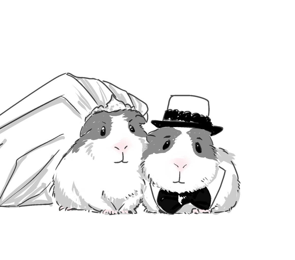 <a href="/ihlcty/">명3 🍙 델만</a> 곤란하네요 유부기니라서,..