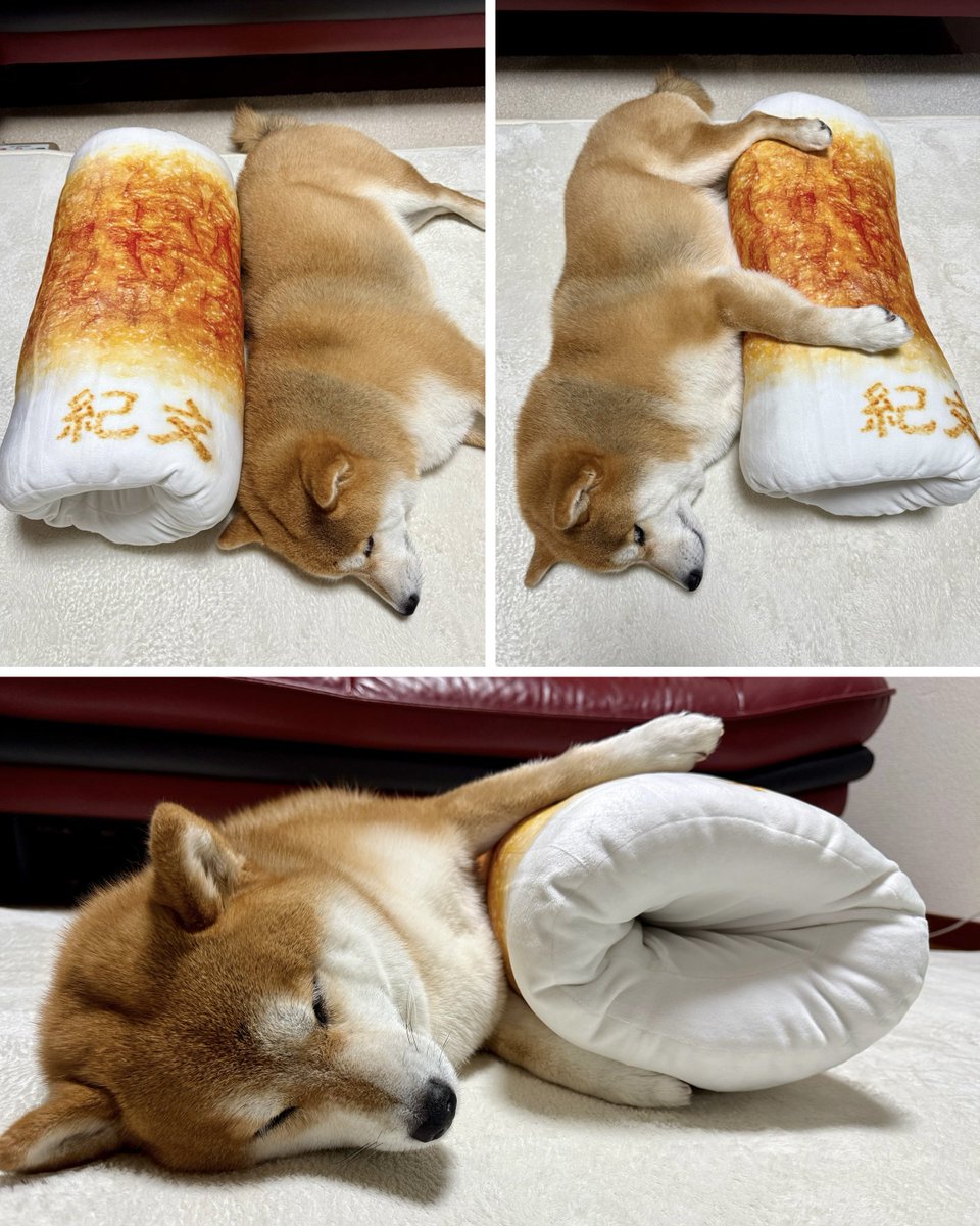 はむおじ (@hamuozi562) / Posts / X