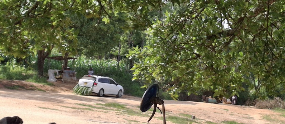 Car hire?