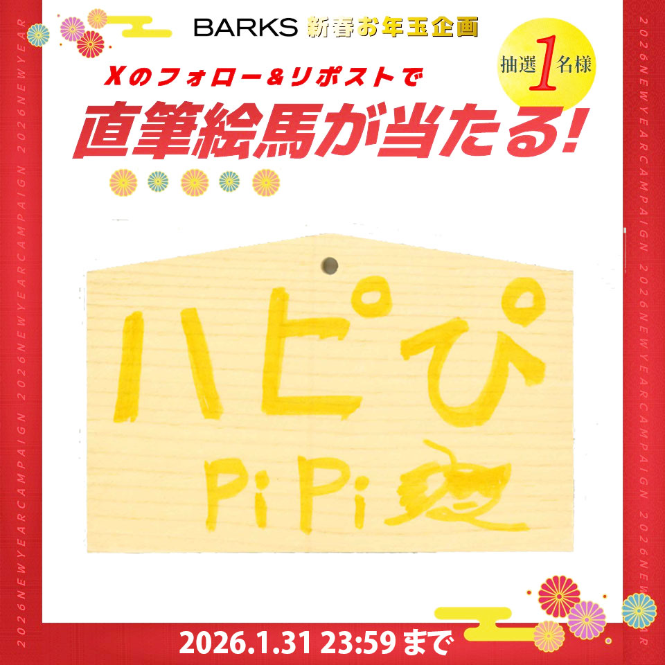 ＼✨ フォロー＆リポストで応募 ✨／
🎍【BARKS新春企画】🎍

「Revo 2026年の抱負」
直筆絵馬プレゼント🎁
1月31日（土）23:59まで

① <a href="/barks_news/">BARKS編集部</a>をフォロー
② このポストをリポスト

応募詳細は下記
x.gd/DKJ1y

#Revo #BARKS
