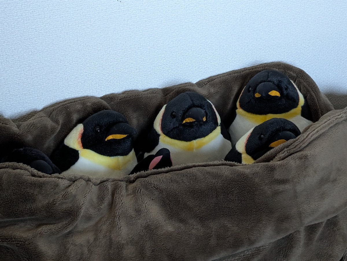 年末だね…🐧🐧🐧