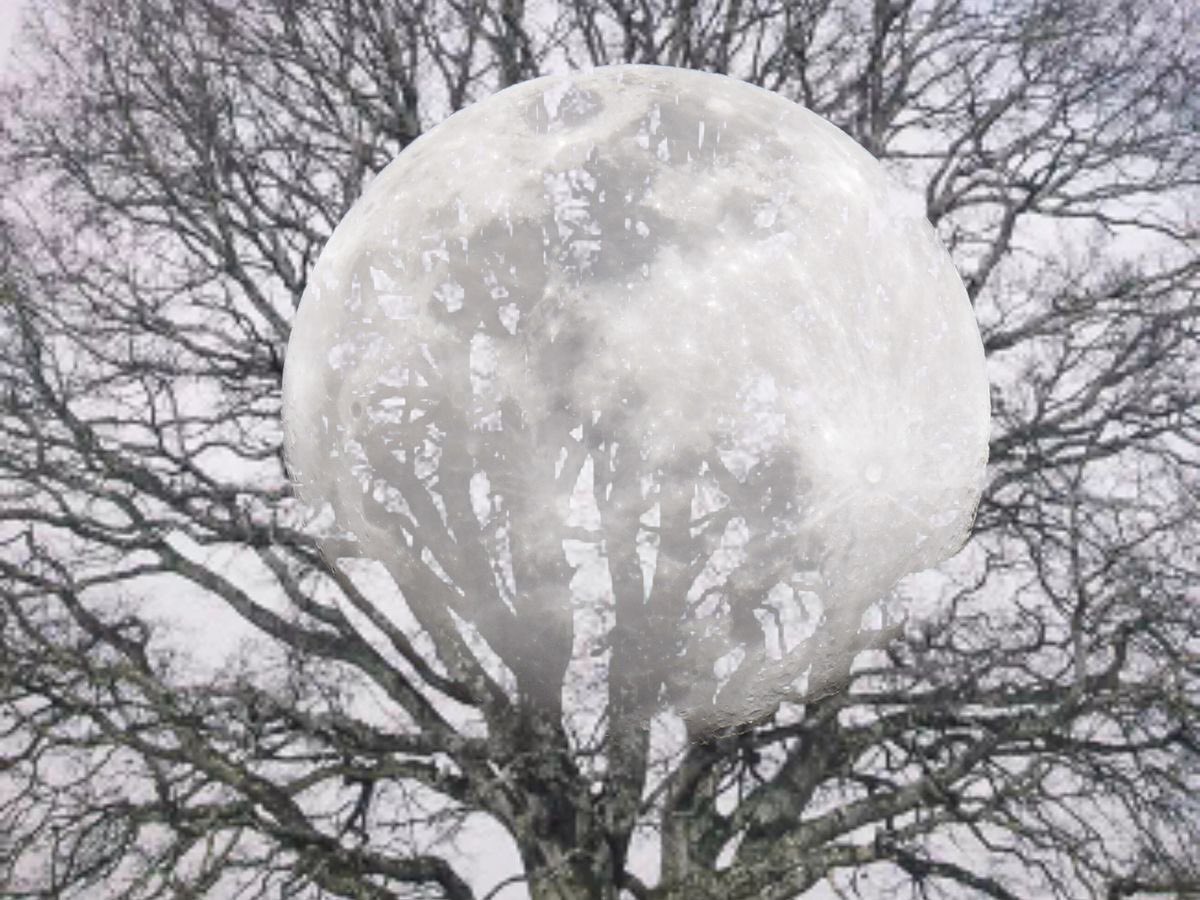 seraphicxc's tweet image. 