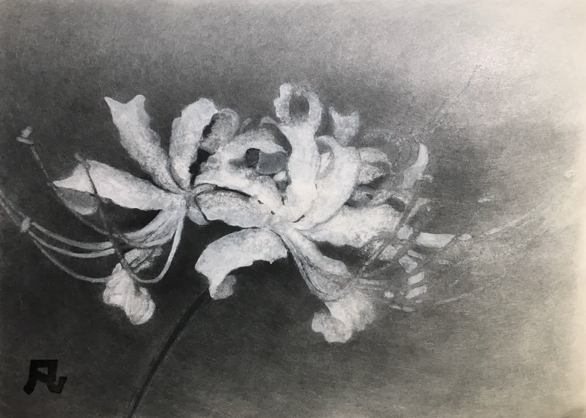 seraphicxc's tweet image. 