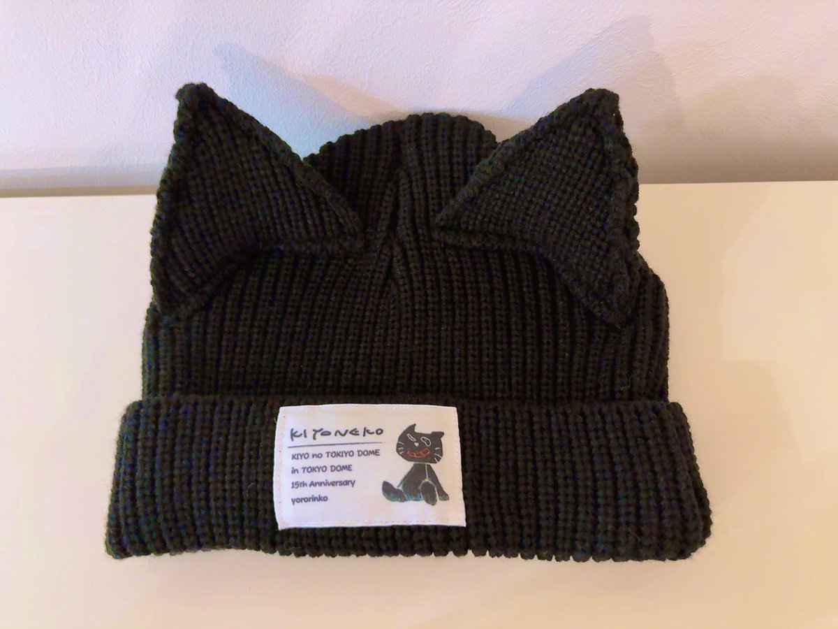 今日頑張れば明日はスノボ！🏂❄️ 1年間使わずあたためてきたキヨ猫