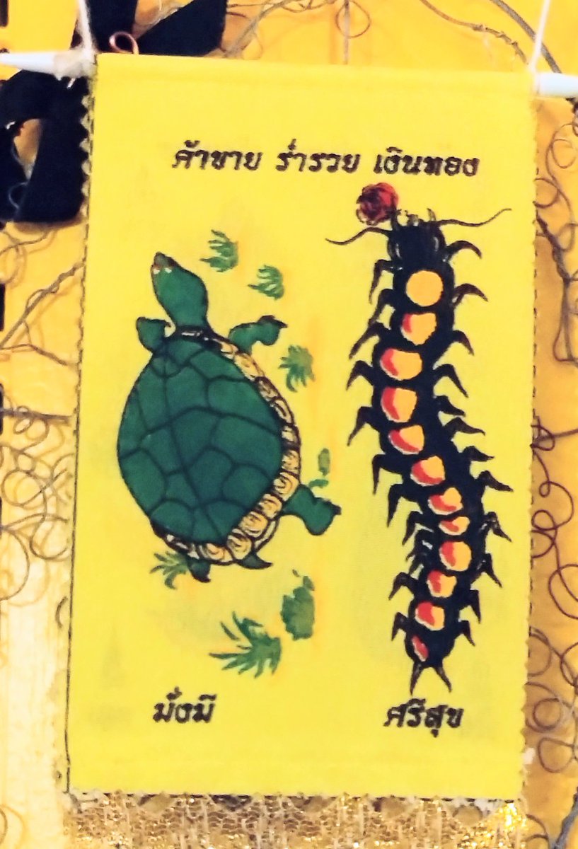 かめきち (@testudo216) / Posts / X