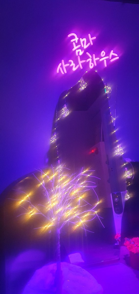 제리제리고고 tweet media