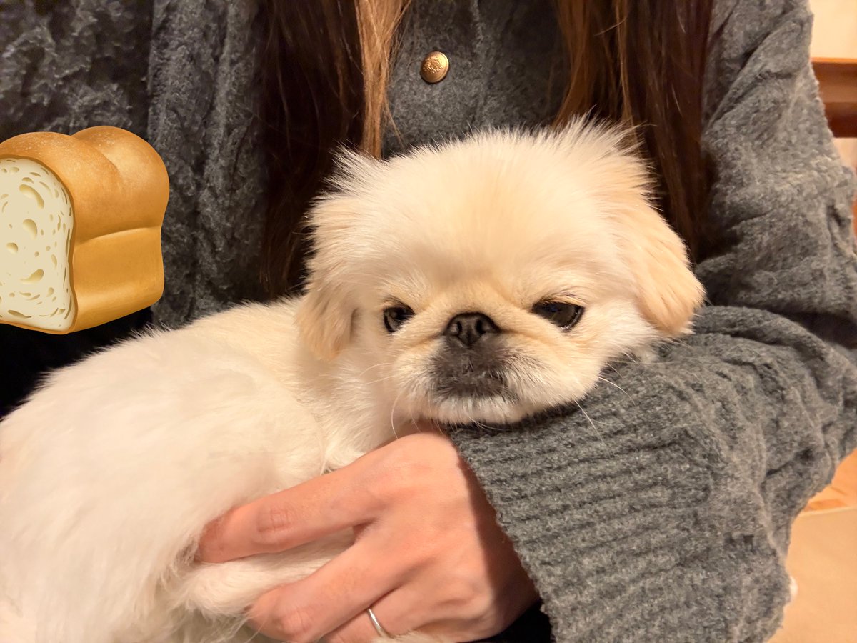 はむちゃん (@_im9040_) / Posts and Replies / X