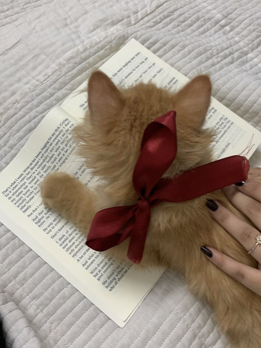 itsmejustonlyme's tweet image. น้องอินจุน