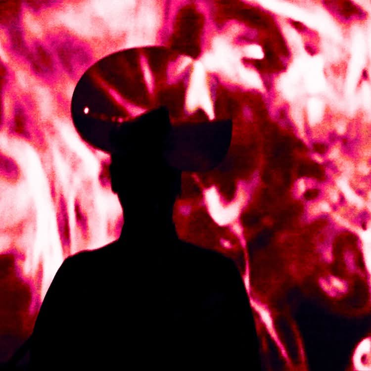 Sharon Gal tweet media