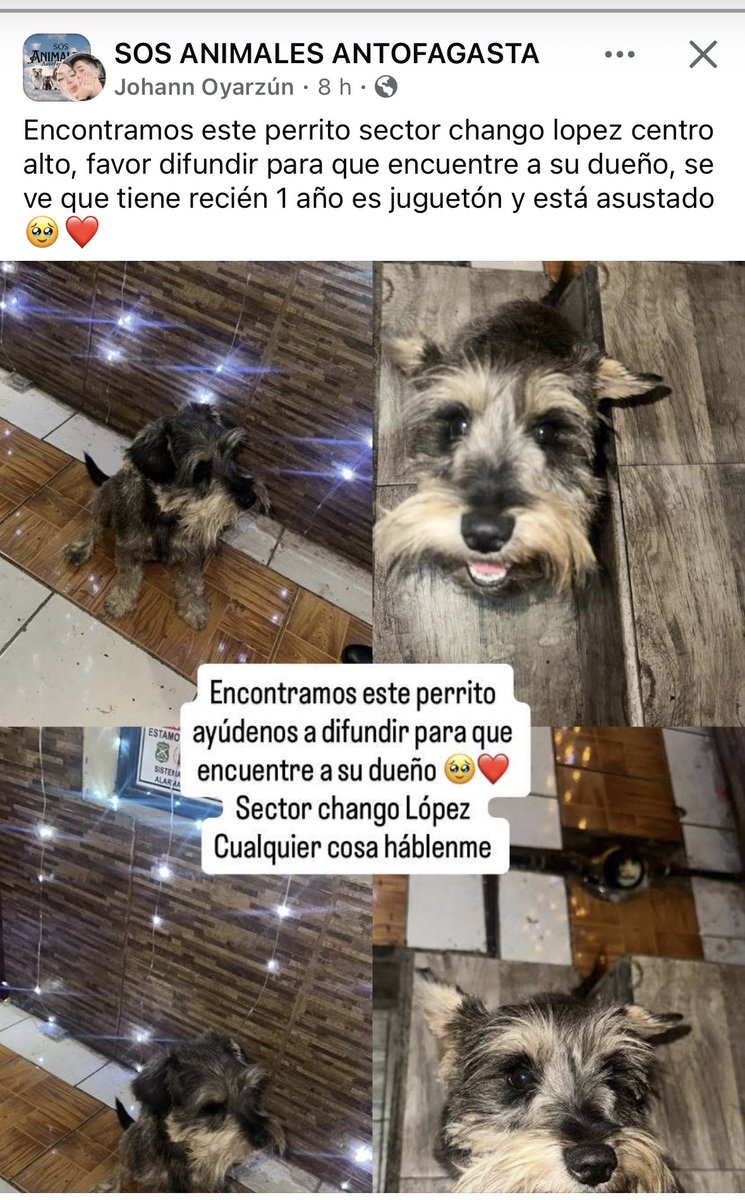 zig1758's tweet photo. 🆘🆘🆘🆘🆘🆘🆘🆘🆘🆘🆘🆘🆘#Antofagasta https://t.co/vrGn70oCIB