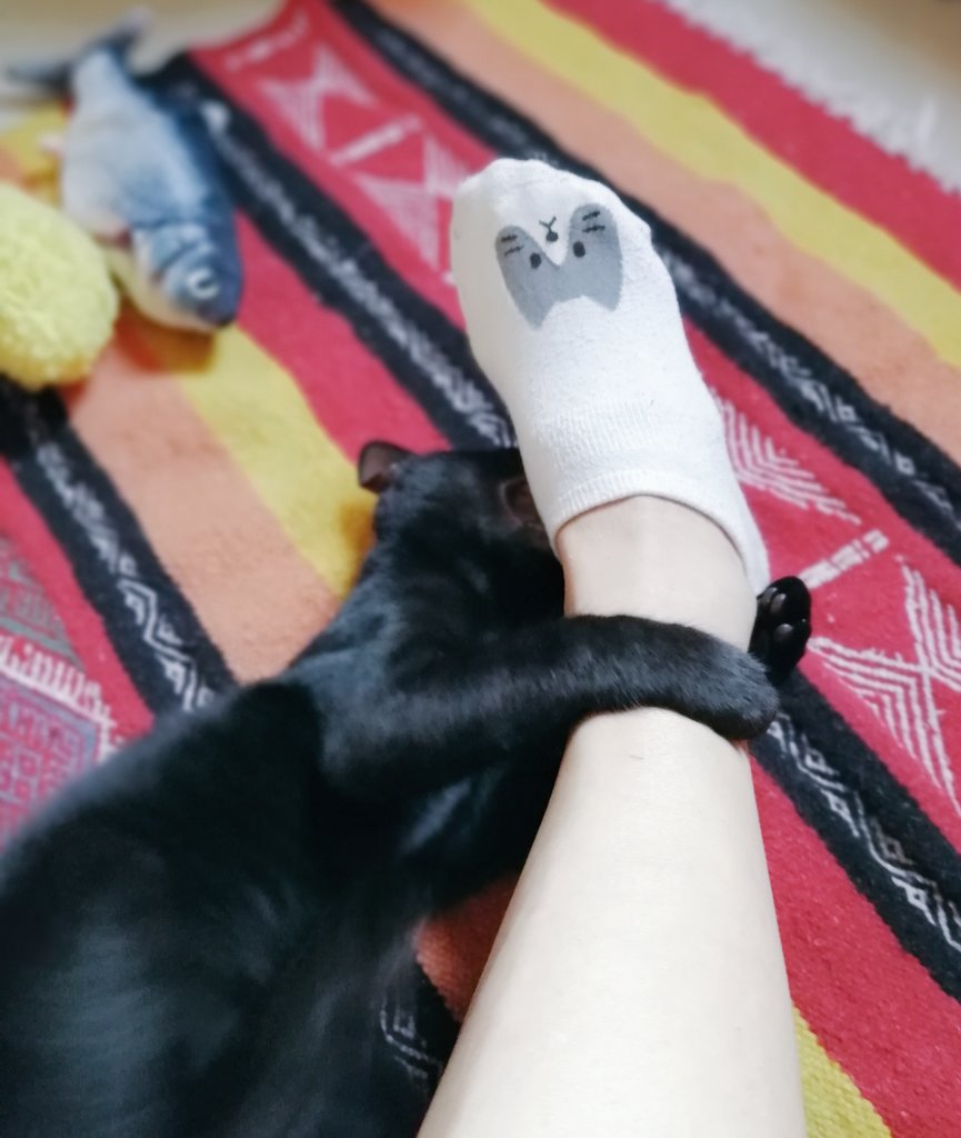 ネコ好き あぁ………っ……(ﾟ∀ﾟ;) ＃cats ＃ネコ好き ＃黒猫