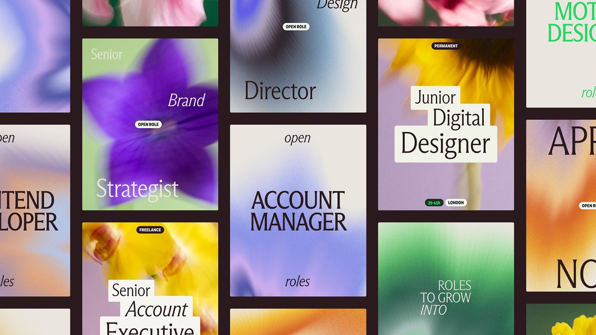 Brand Archive tweet media