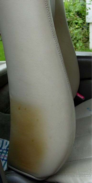 ColorGlo's tweet image. Color Glo's professional cleaning service goes beyond superficial tidying, employing specialized, proprietary cleaning solutions designed to penetrate and eliminate tough stains like grease, ink, and food spills from a variety of materials including fabric, vinyl, and leather.