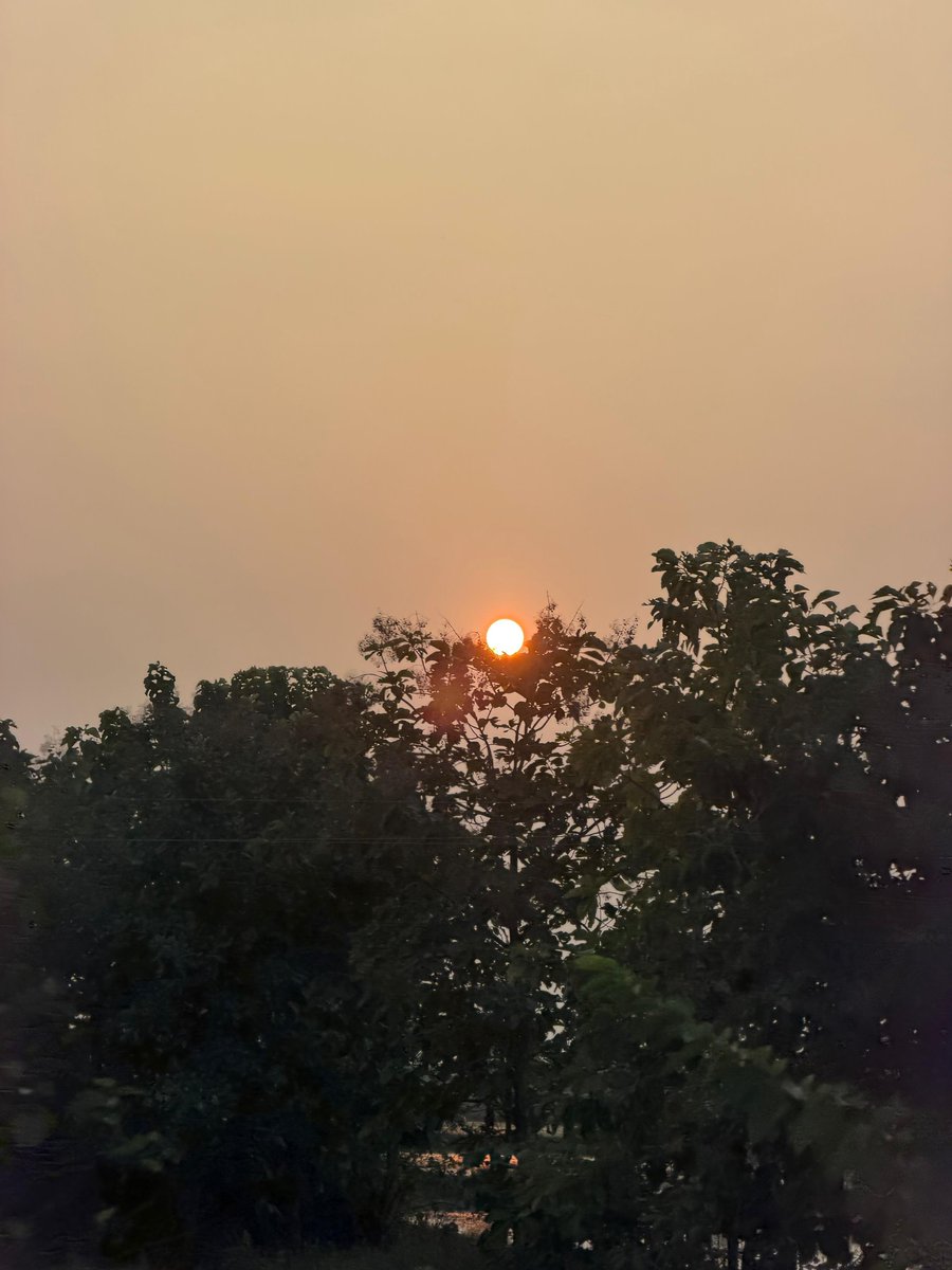 BTR_KTR's tweet photo. Sunset vibes on the way to Hyderabad from Mahabubabad.
సూర్యాస్తమయం కూడా ఇంత peaceful గా ఉంటుందా.. 💛
📸 Clicked on my iPhone
#MobilePhotography #iPhoneClick #ShotOnIphone
@KTRBRS https://t.co/o6kzotkzsz