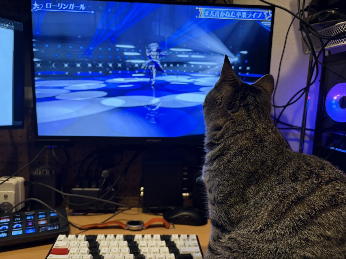 えちょ tweet media