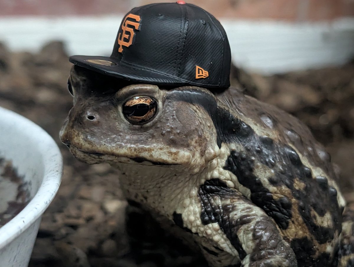 nnnnfffffaa's tweet image. 